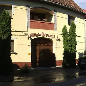 Matyas Panzio Bed & Breakfast Szeged